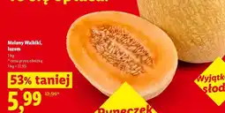 Lidl Melony Waikiki, luzem oferta