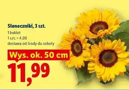Lidl Słoneczniki, 3 szt oferta