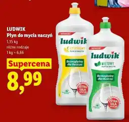 Lidl LUDWIK Płyn do mycia naczyń oferta