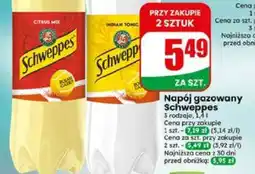 Dino Napój gazowany Schweppes oferta