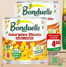 Dino Kukurydza złocista Bonduelle oferta