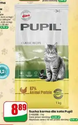 Dino Sucha karma dla kota Pupil oferta