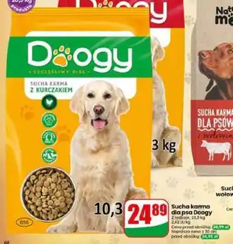 Dino Sucha karma dla psa Doogy oferta