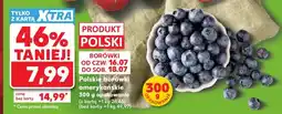 Kaufland Polskie borówki amerykańskie 300 g opakowanie oferta