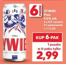 Kaufland ŻYWIEC Piwo oferta