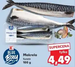 Kaufland Makrela tusza 100 g oferta