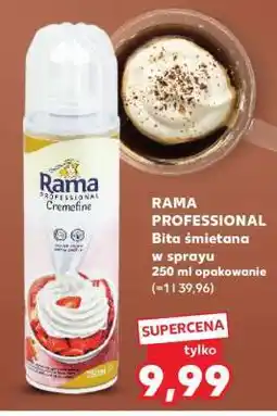 Kaufland RAMA PROFESSIONAL oferta
