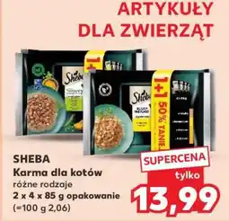 Kaufland SHEBA Karma dla kotów różne rodzaje oferta