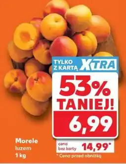 Kaufland Morele luzem 1 kg oferta