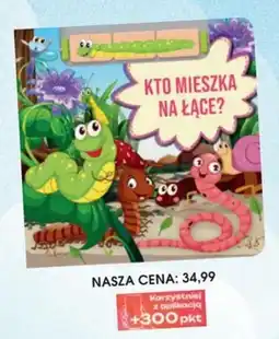 Świat Książki Kto mieszka na łące? oferta