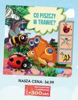 Świat Książki Co piszcz y w trawie? oferta