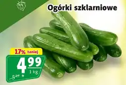 Prim Market Ogórki szklarniowe oferta
