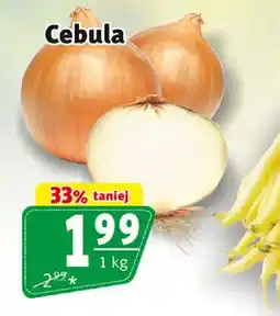 Prim Market Cebula oferta