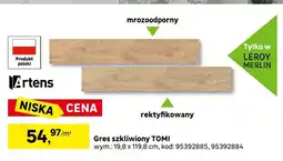 Leroy Merlin Gres szkliwiony Tomi Artens 19,8x119,8 cm oferta