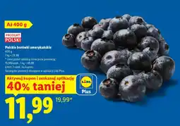 Lidl Borówki amerykańskie Polski oferta