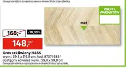 Leroy Merlin Gres szkliwiony Hass oferta