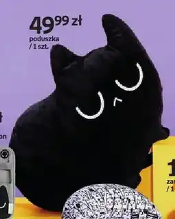 Empik Poduszka Purrrfect School oferta