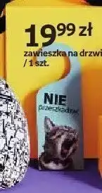 Empik Zawieszka na drzwi Purrrfect School oferta