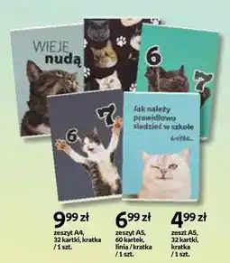 Empik Zeszyt A5 60 kartek linia oferta