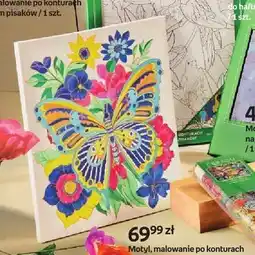 Empik Malowanie po konturach Motyl z zestawem pisaków Creadu oferta