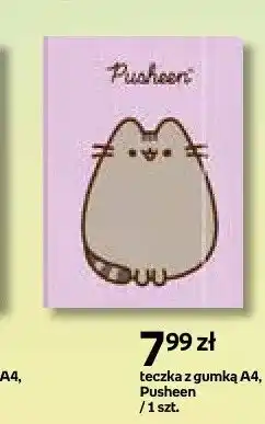 Empik Teczka z gumką A4 Pusheen oferta
