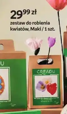 Empik Zestaw do robienia kwiatów Maki Creadu oferta