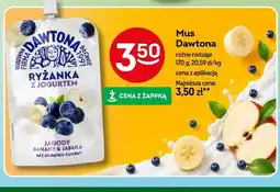Żabka Mus Dawtona Ryżanka z jogurtem jagody banany jabłka oferta