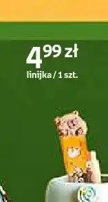 Empik Linijka Cappy Classes oferta