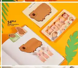 Empik Zakładki magnetyczne Cappy Classes oferta