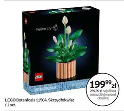 Empik Klocki LEGO Botanicals 11504 Skrzydłokwiat oferta