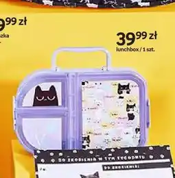 Empik Lunchbox Purrrfect School oferta