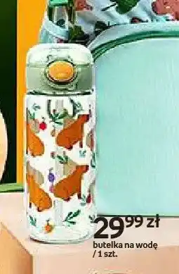 Empik Butelka na wodę Cappy Classes oferta