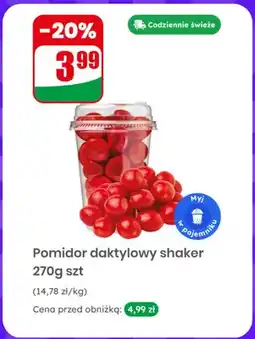 Dino Pomidor daktylowy shaker oferta
