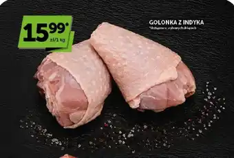 ABC Golonka z indyka oferta