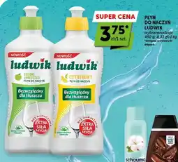 ABC Płyn do naczyń Ludwik Zielone Jabłuszko oferta