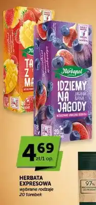 ABC Herbata ekspresowa owocowa Herbapol Taniec z mango oferta