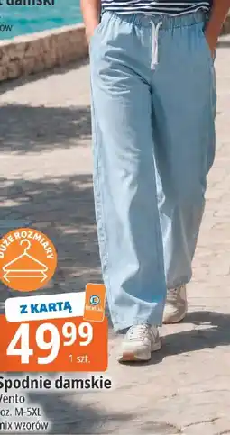 E.Leclerc Spodnie damskie oferta