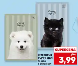 Kaufland INTERDRUK PUPPY SIGN Teczka z gumką A4 oferta