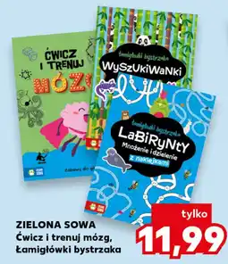 Kaufland Zielona Sowa Ćwicz i trenuj mózg, Łamigłówki bystrzaka oferta