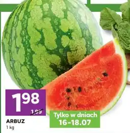 Stokrotka ARBUZ oferta