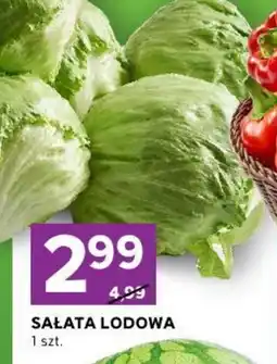 Stokrotka Sałata Lodowa oferta