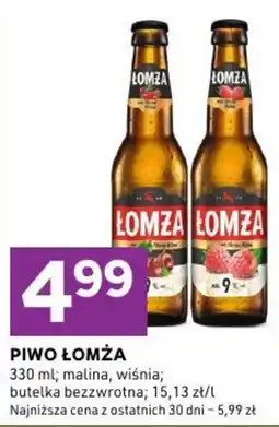 Stokrotka Piwo Łomża oferta