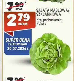 Społem Sałata masłowa oferta