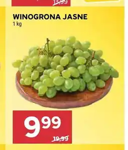 Stokrotka Winogrona jasne oferta