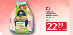 Selgros Kurczak oferta