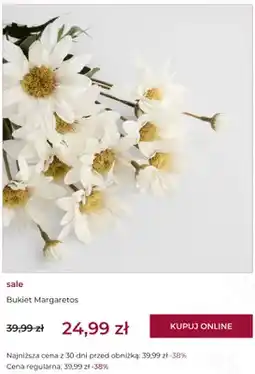 Home&You Bukiet Margaretos home&you oferta