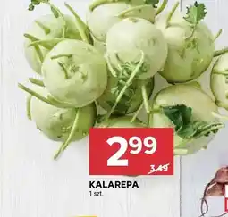 Stokrotka Kalarepa oferta