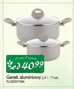 Cezar Delikatesy Garnek aluminiowy Florentyna oferta