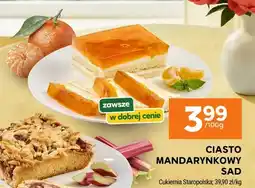 Stokrotka Ciasto Mandarynkowy Sad oferta
