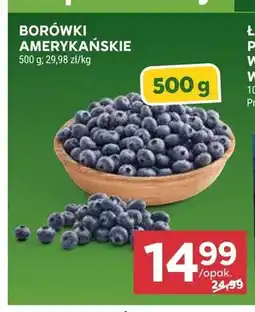 Stokrotka Borówki amerykańskie oferta